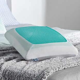 Therapedic cooling gel 2025 and memory foam pillow